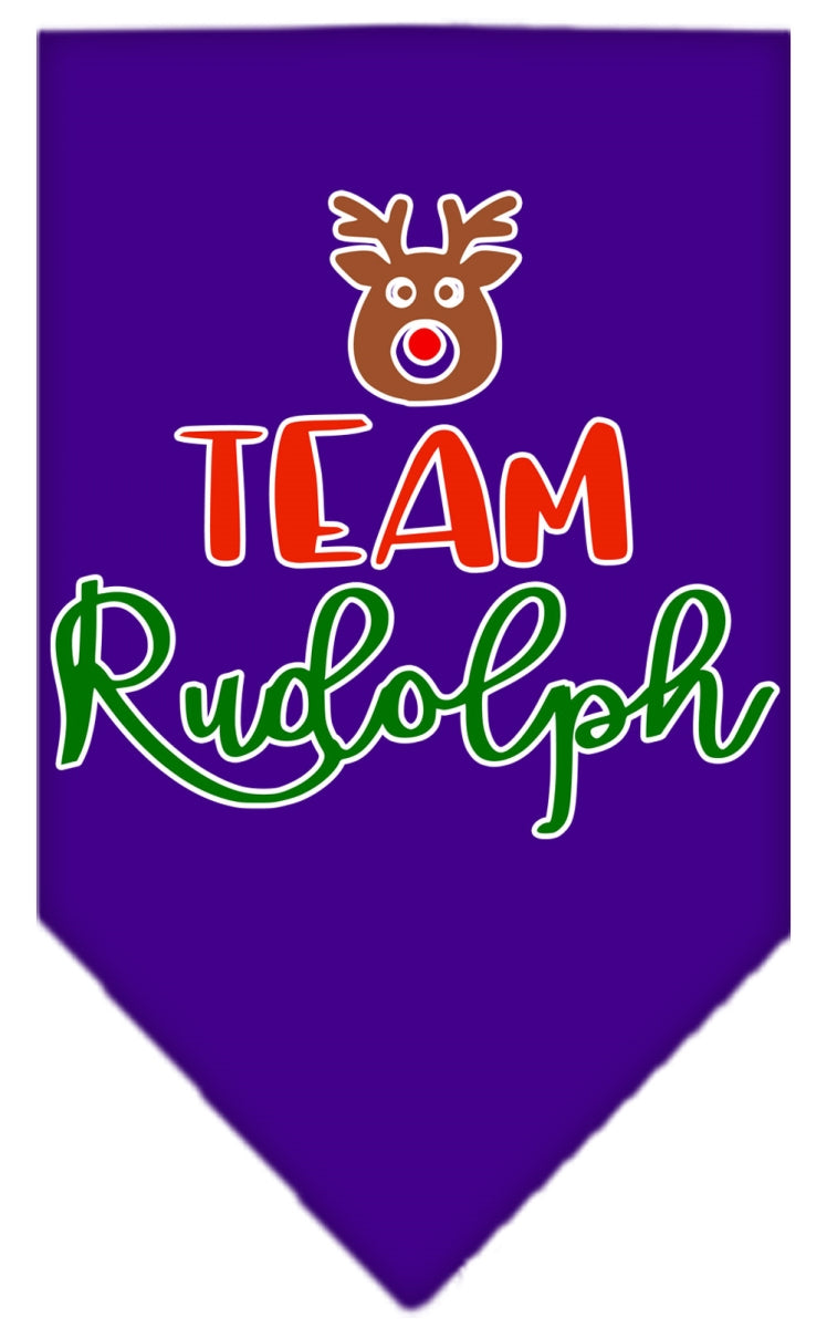 Mirage Pet 66-422 SMPR Team Rudolph Screen Print Bandana, Purple -