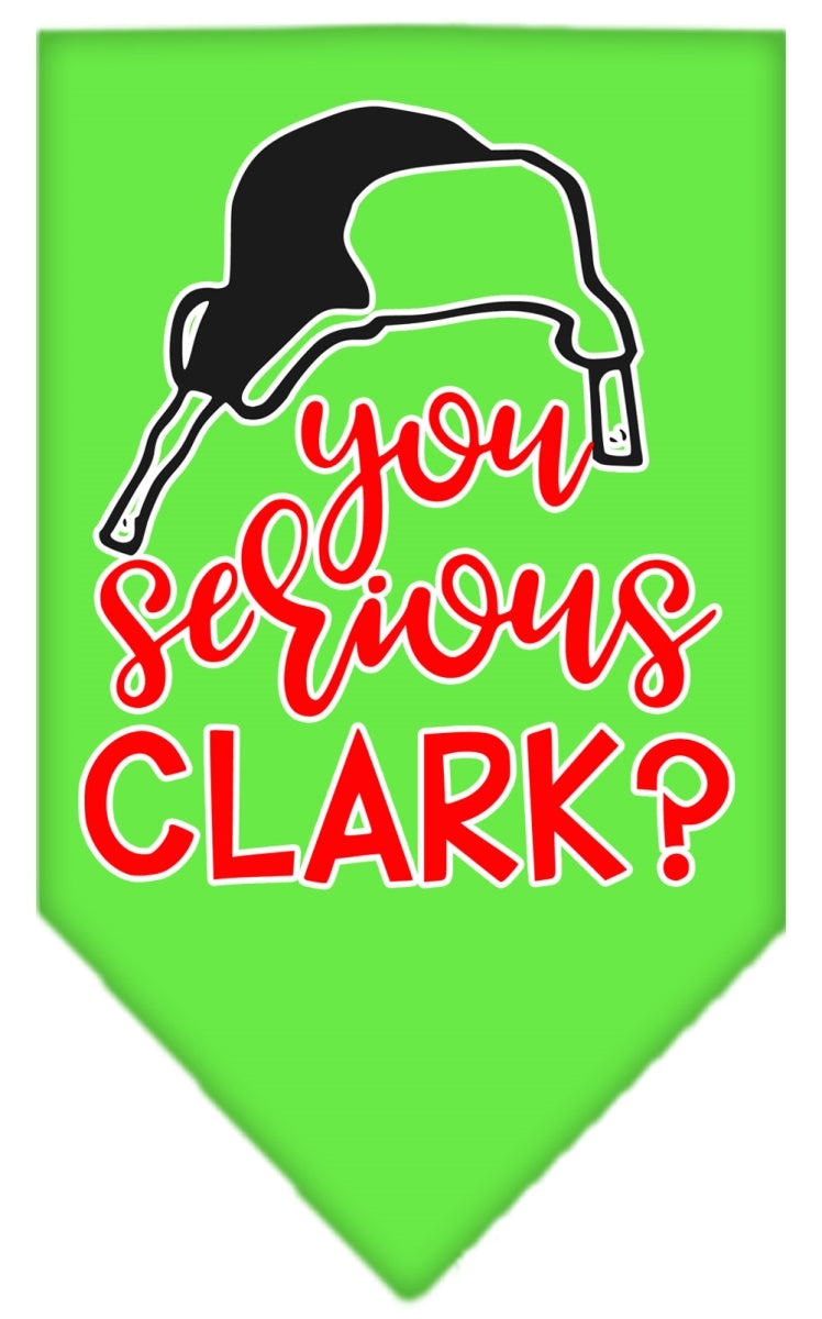 Mirage Pet 66-425 LGLG You Serious Clark Screen Print Bandana, Lim