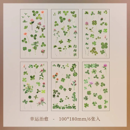 JIANQI 6pcs/pack Transparent PET Stickers Scrapbooking Materials DIY