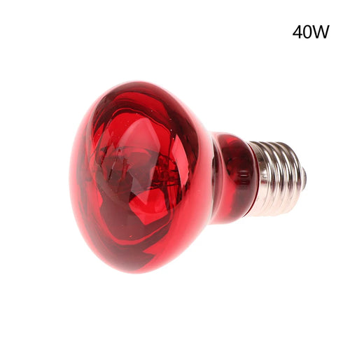 25/40/50/60/75/100W E27 UVA Poultry Bulb Infrared Night Light Day