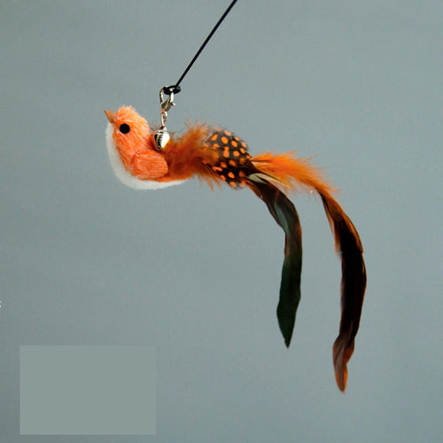 Funny Bird Feather Cat Wand With Bell Accessories Interactive Toys For