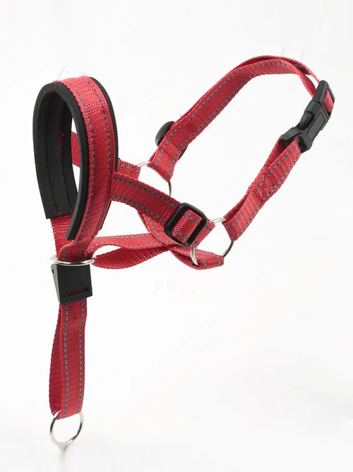 2026 New Nylon Portable Dog Muzzle Rope, Dog Cage Head Anti-Bite Pet