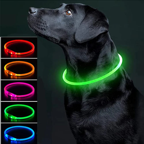 Luminous Dog Collar Light Charge Cat Necklace, Led Fashion Flashing