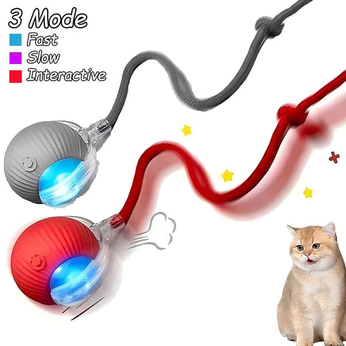 Cat Interactive Ball Toys Automatic Rolling Ball Faux Tail