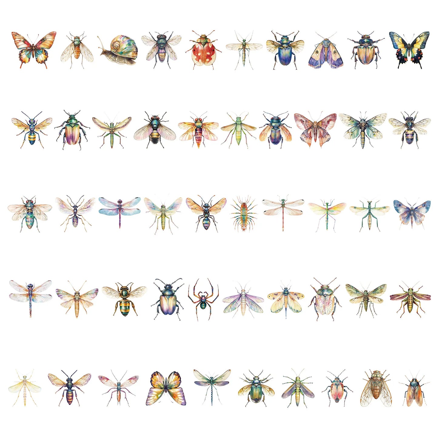 50Pcs Cute Cartoon Insect Beetle Stickers PET for Toy DIY Luggage