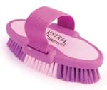 6.75 Inch Small Equestrian Sport Oval Body Brush - Purple - 2171-2
