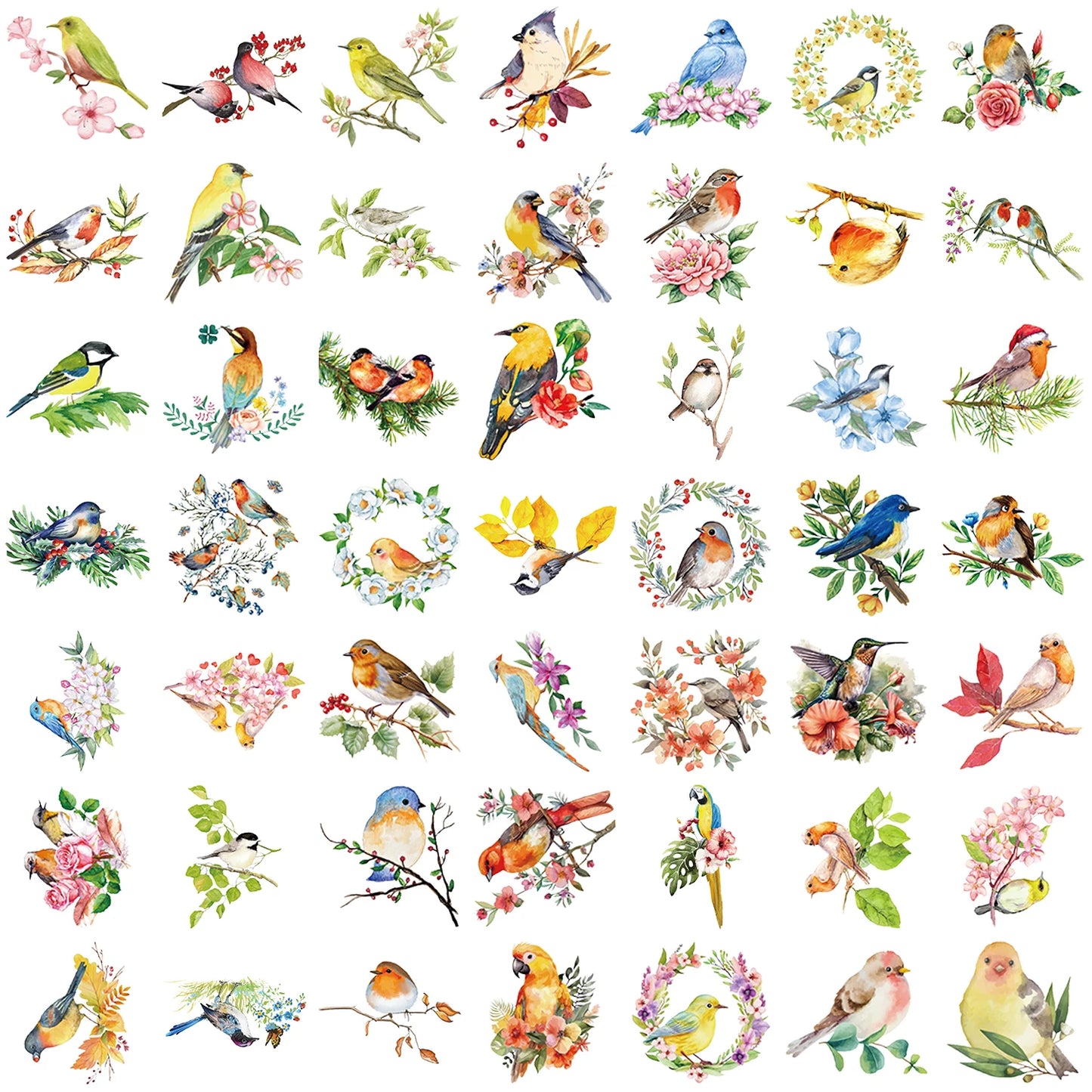 50pcs Colorful Watercolor Bird Stickers Vintage Aesthetic Transparent