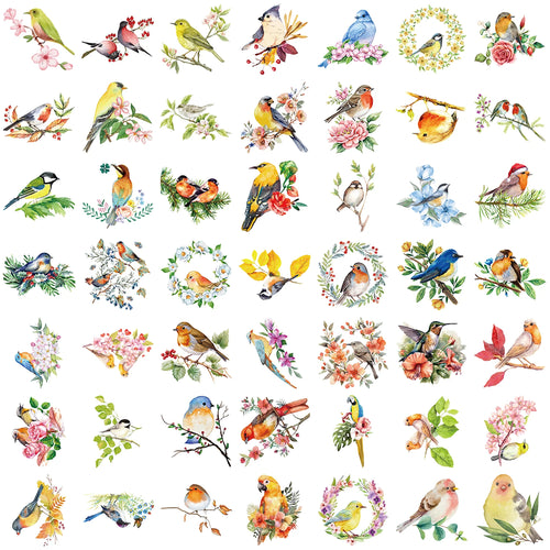50pcs Colorful Watercolor Bird Stickers Vintage Aesthetic Transparent