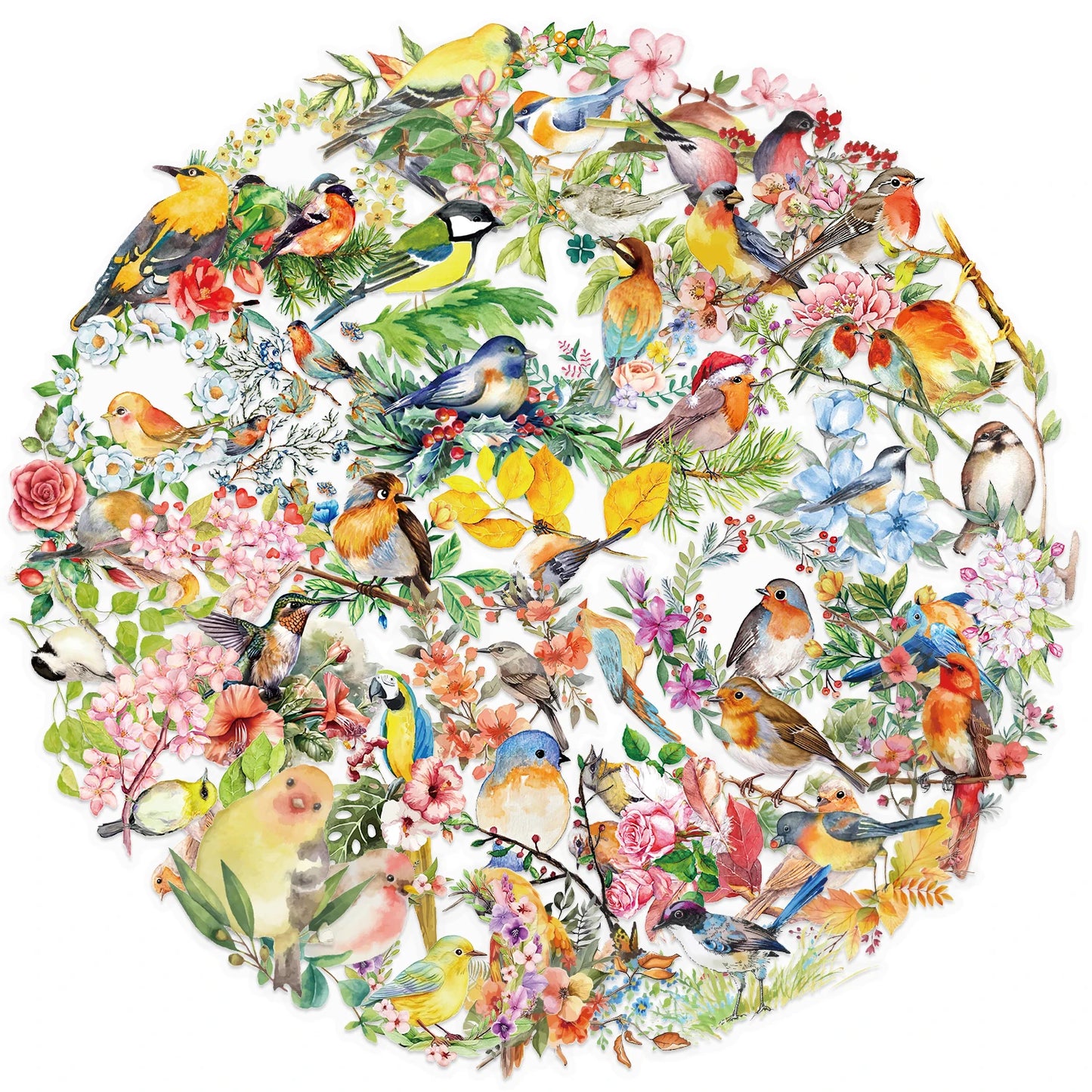50pcs Colorful Watercolor Bird Stickers Vintage Aesthetic Transparent