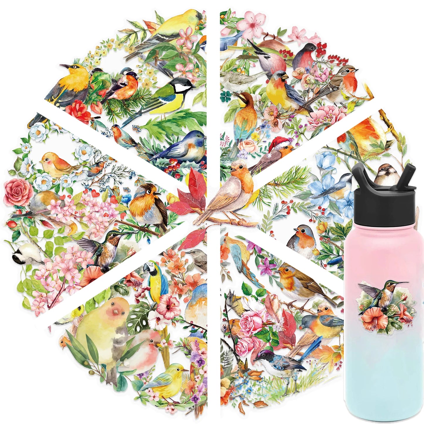 50pcs Colorful Watercolor Bird Stickers Vintage Aesthetic Transparent