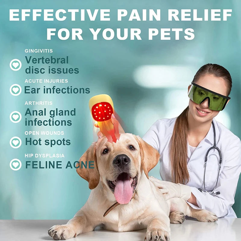Cold Laser Therapy Vet Device for Pets 2x808nm Red Light Therapy