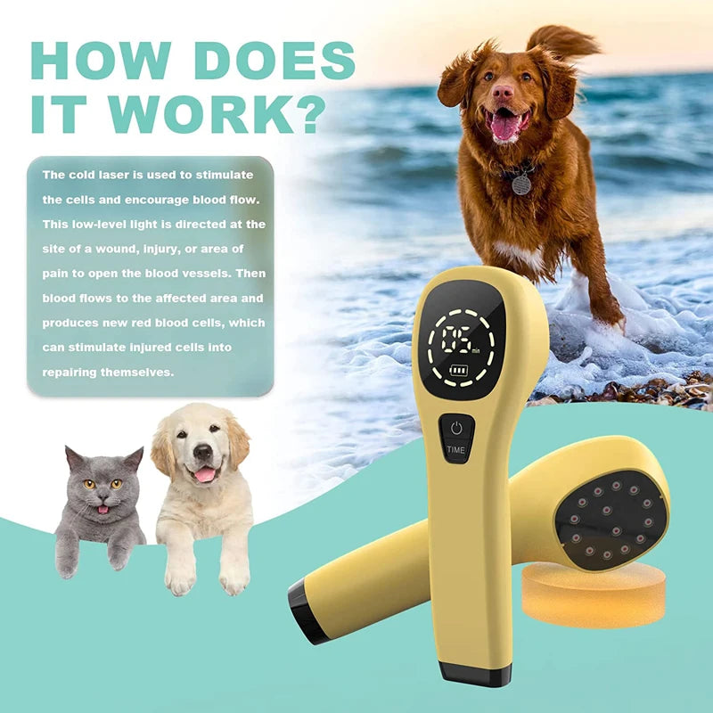Cold Laser Therapy Vet Device for Pets 2x808nm Red Light Therapy