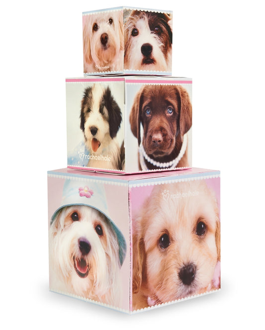 BirthdayExpress 232497 Rachaelhale Glamour Dogs Building Blocks Center