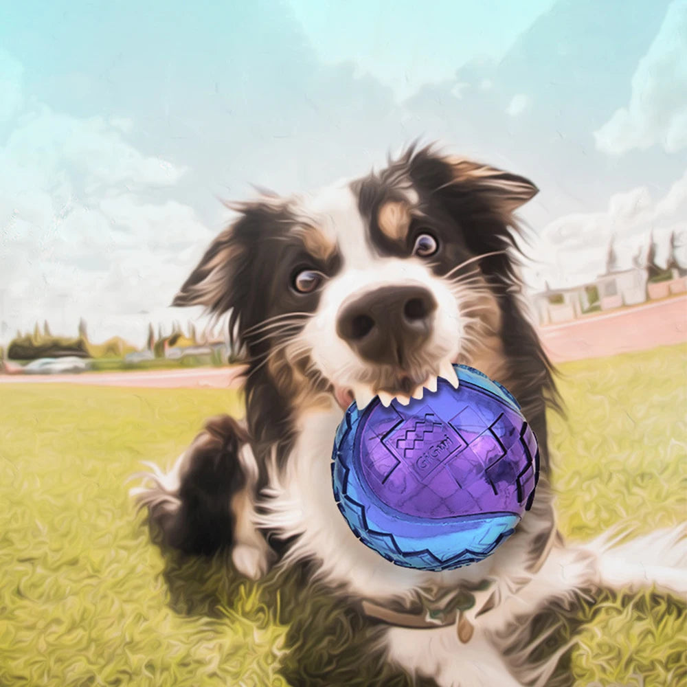 Pet Dog Squeaky Toys Ball Puppy Chew Toys Sound Pure Natural Non-toxic