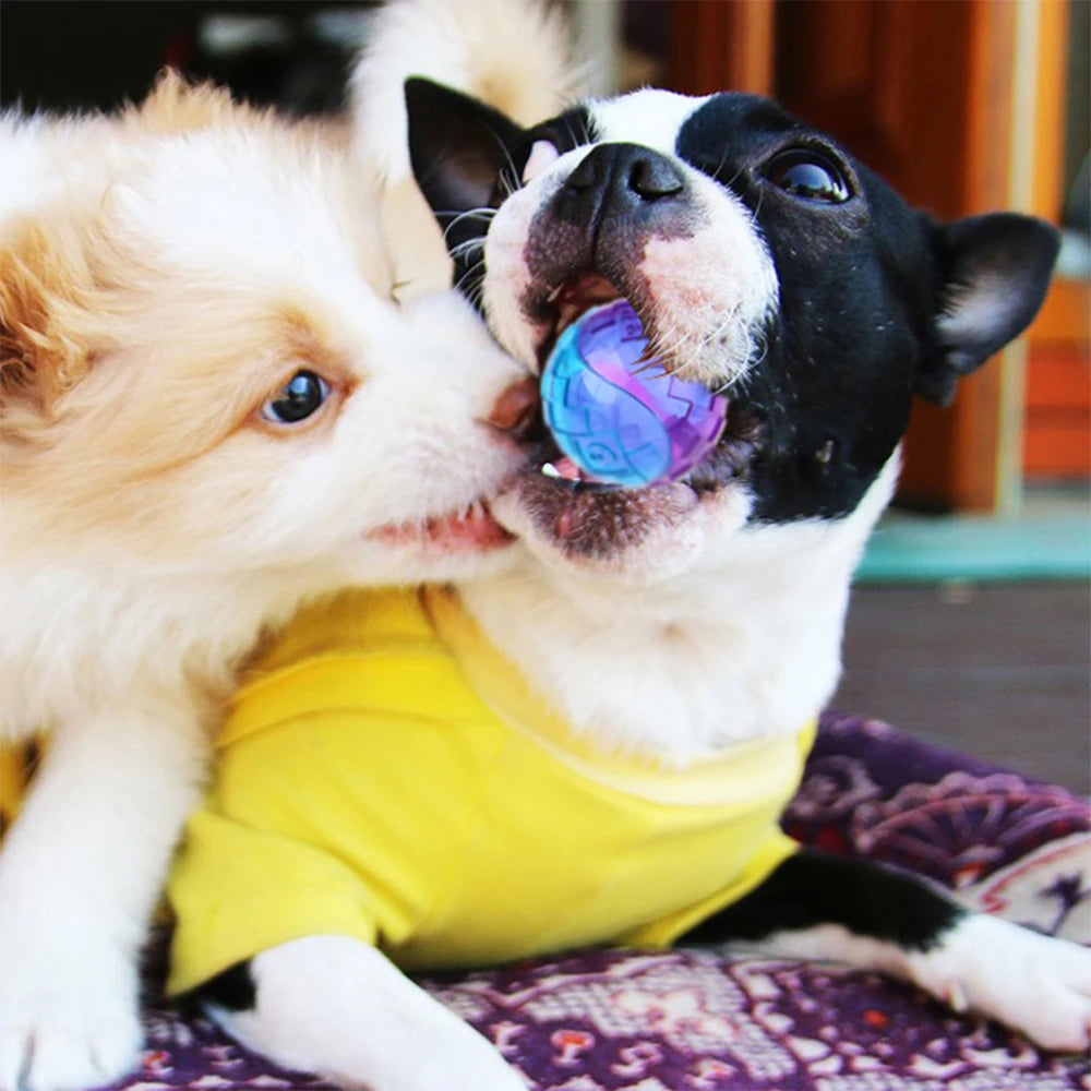 Pet Dog Squeaky Toys Ball Puppy Chew Toys Sound Pure Natural Non-toxic