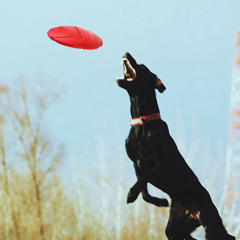 Rubber Pet Dog Flying Discs Saucer Toys Small Medium Funny Dog Puppy