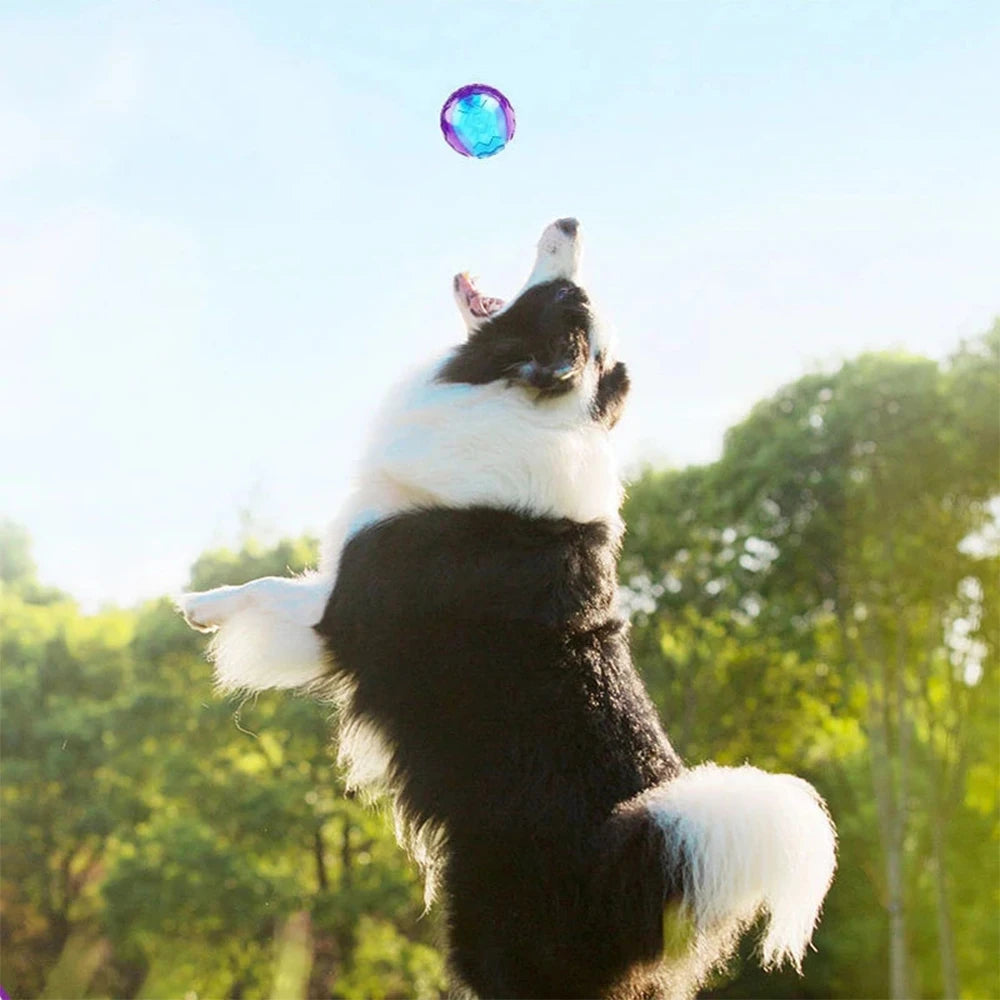 Pet Dog Squeaky Toys Ball Puppy Chew Toys Sound Pure Natural Non-toxic