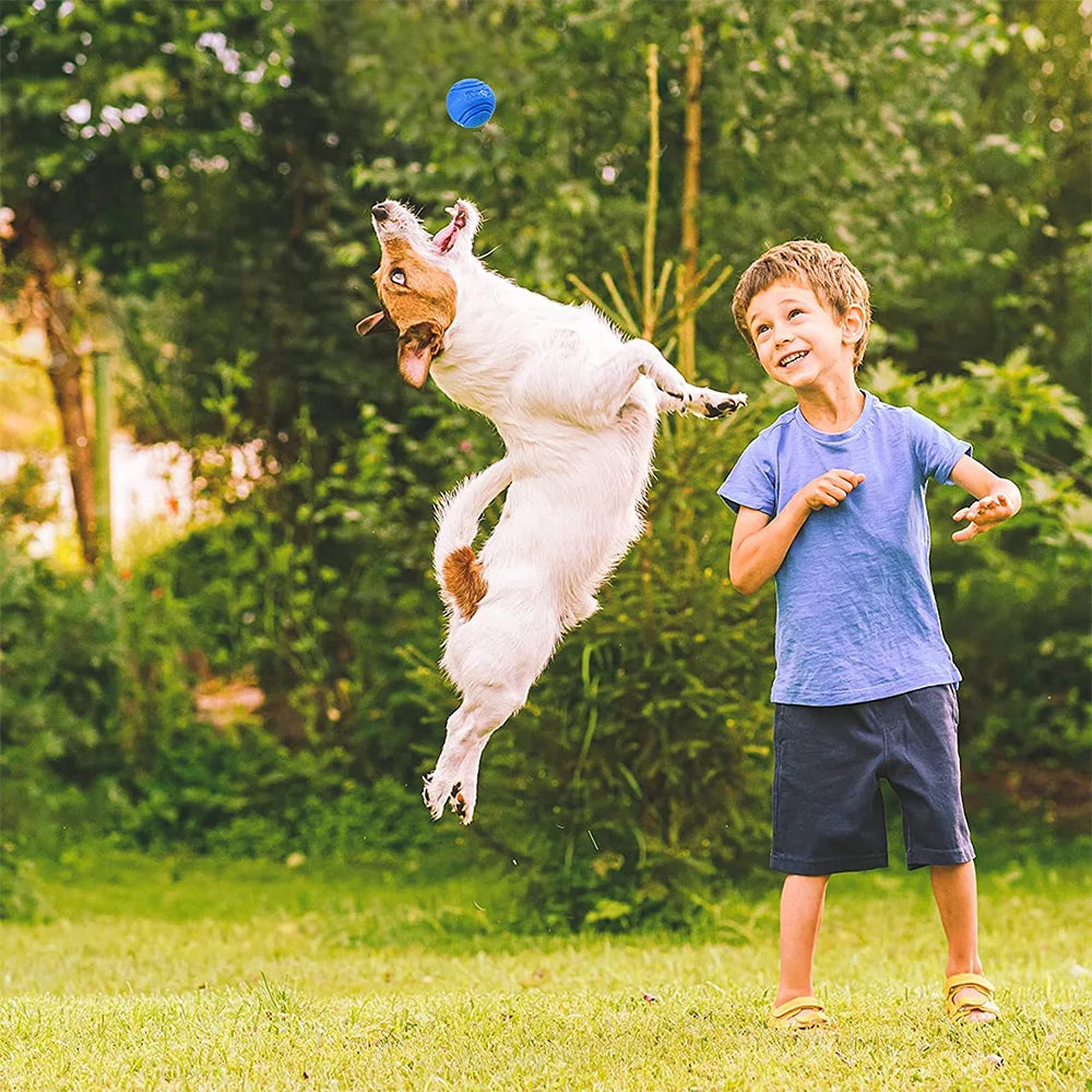 Pet Dog Toys Dog Ball Dog Bouncy Rubber Solid Ball Resistance to Dog