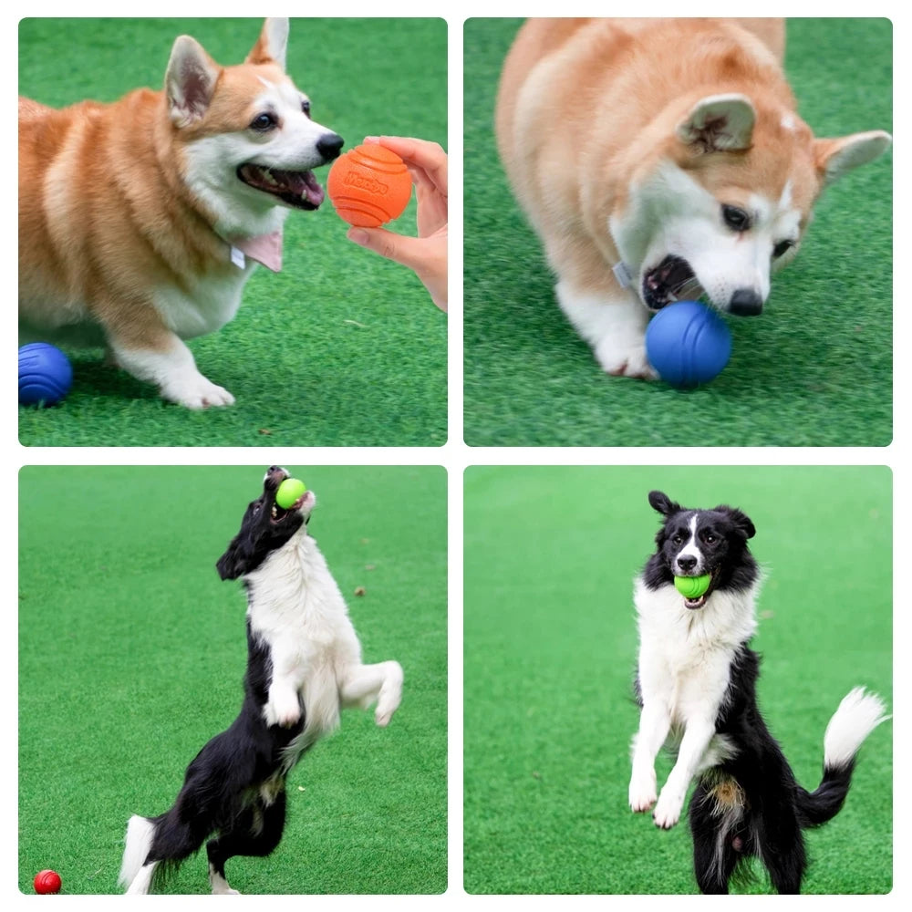 Pet Dog Toys Dog Ball Dog Bouncy Rubber Solid Ball Resistance to Dog