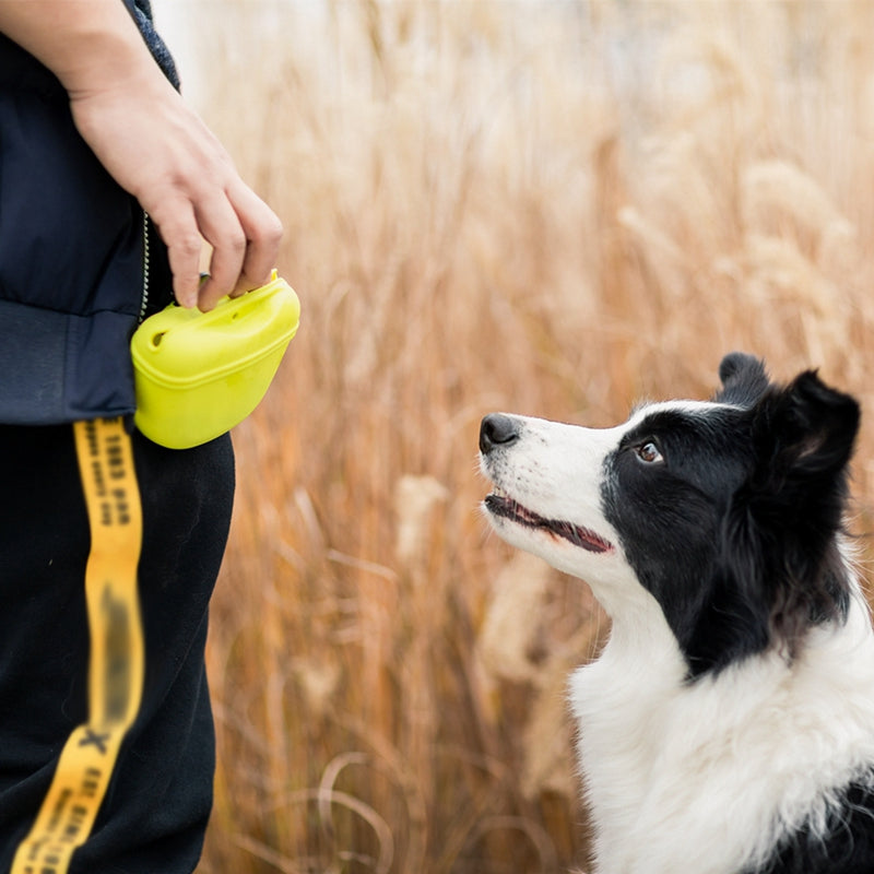 Pet Portable Dog Training Waist Bag Treat Snack Bait Dogs Obedience