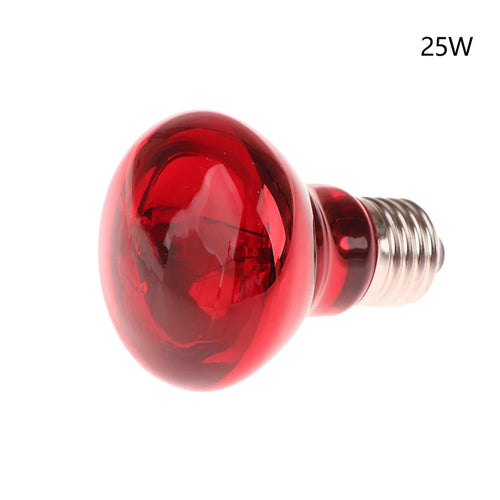 25/40/50/60/75/100W E27 UVA Poultry Bulb Infrared Night Light Day