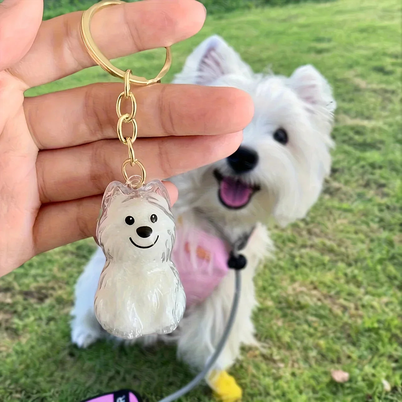 Transparent Dog Hair Storage Container Adorable Pet Keepsake Capsule