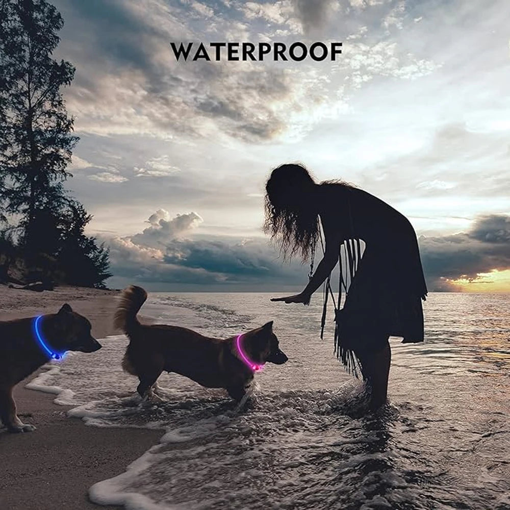 Led Dog Collar Luminous Usb Cat Dog Collar 3 Modes Led Light Glowing