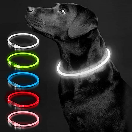Luminous Dog Collar Light Charge Cat Necklace, Led Fashion Flashing