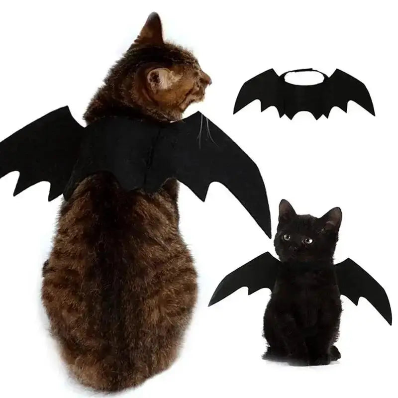 Wholesale Cute Cat Cosplay Costume Black Bat Wings Safety Belt Role