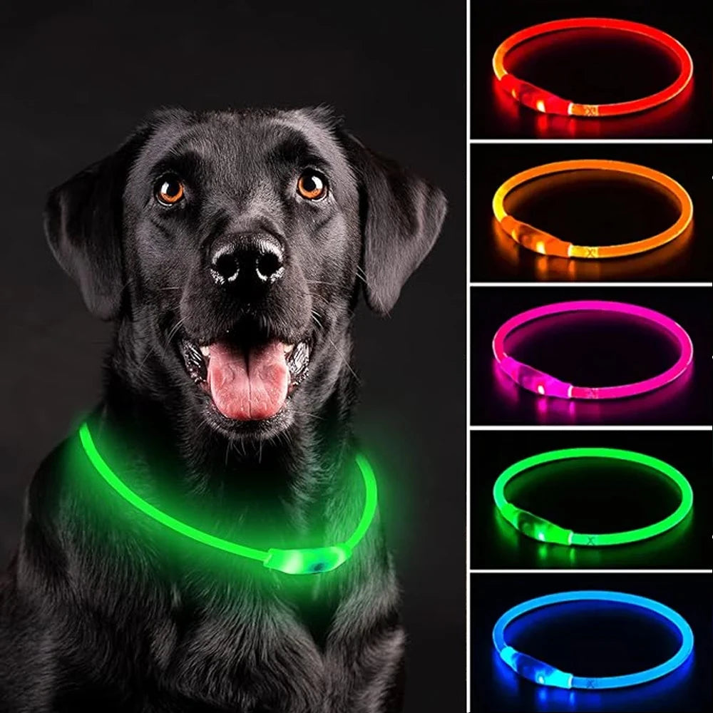 Led Dog Collar Luminous Usb Cat Dog Collar 3 Modes Led Light Glowing