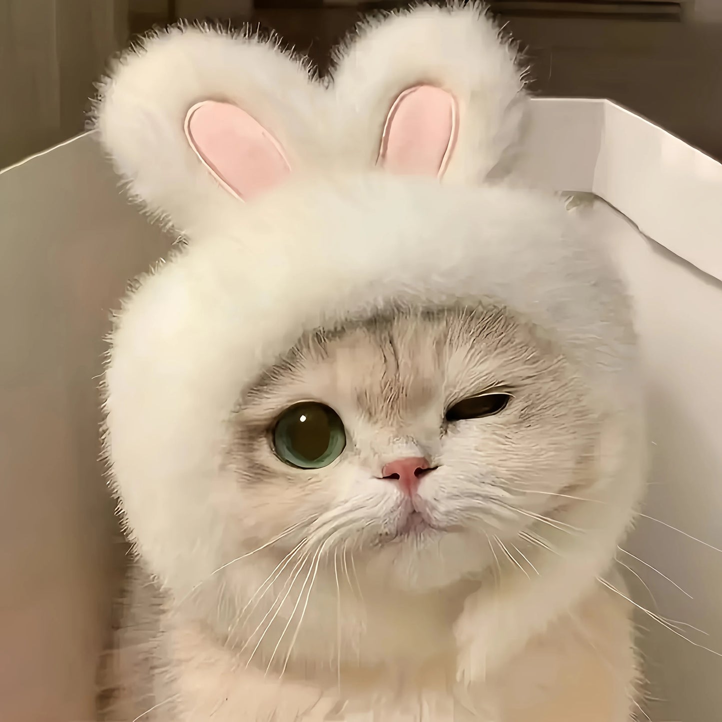 1pc Bunny Ears Cat Hat Themed Pet Costume Knit Fabric Set Comfortable