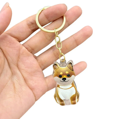 Transparent Cute Dog Hair Storage Keychain Pet Fur Keepsake Capsule