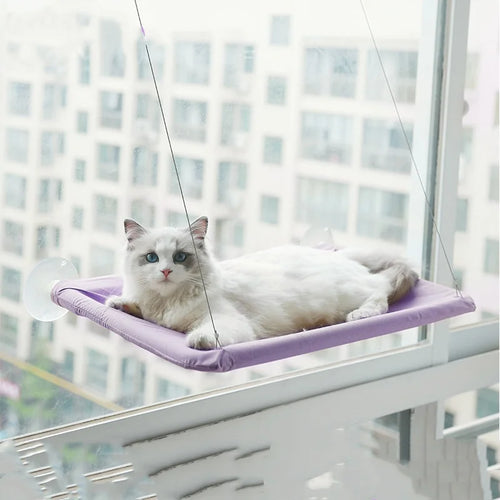 New pet cat hammock hanging cat bed bearing 20 kg comfortable sunny