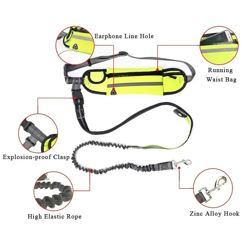 Dog Running Waist Leash Nylon Pet Leash with Waist Bag Retractable