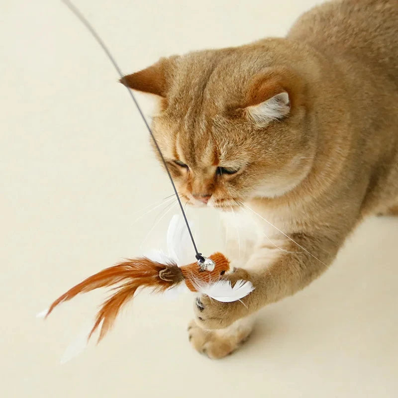 Funny Bird Feather Cat Wand With Bell Accessories Interactive Toys For