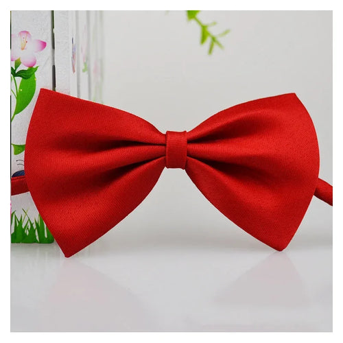 Pet Dog Cat Necklace Adjustable Strap for Cat Collar Dogs Accessories