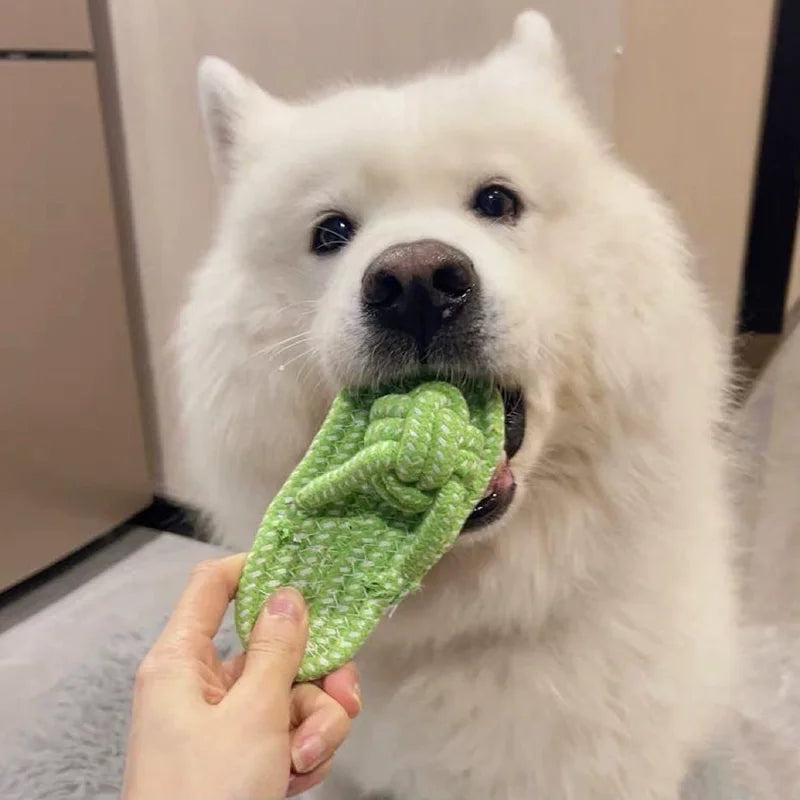 Pet Cotton Rope Slipper Knot Toy For Small Dogs Interactive Chew Toy