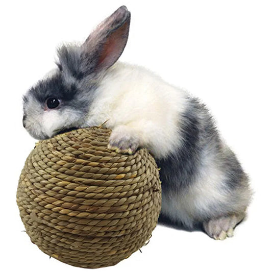 6/10cm Chewing Braided Ball Guinea Pig Rabbit Hamster Small Animal