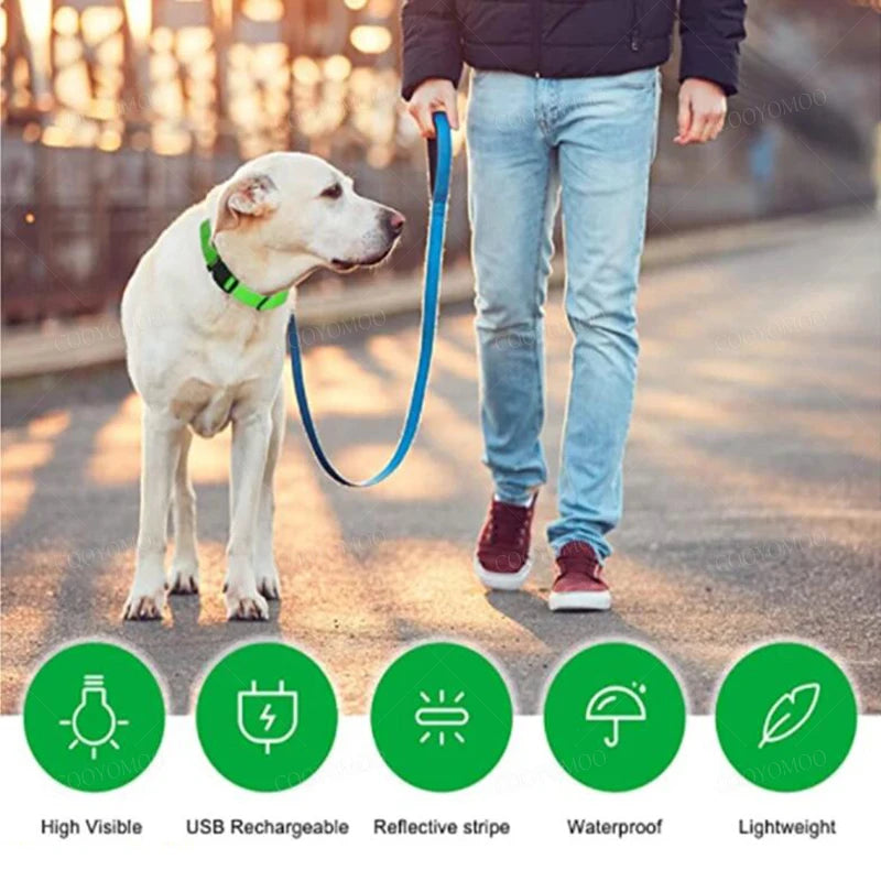 3 Modes Dog Luminous Charge Collar Led Usb Cat Dogs Collars Detachable