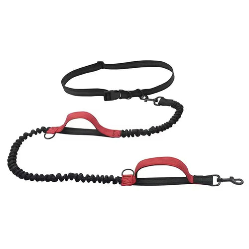 Outdoor Pet Dual Elastic Traction Rope Reflective Running at Night