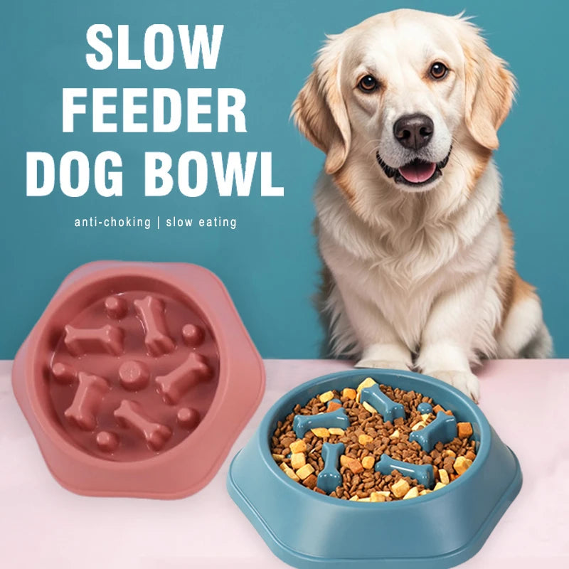 Slow Feeder Dog Bowl Anti-choking Puppy Food Bowl Anti-slip Pet Slow