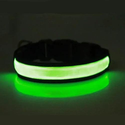 LED Glowing Dog Collar Adjustable Flashing USB Charging Luminous