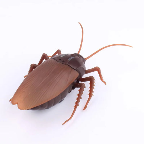 Trick Electric Cockroach Pet RC Simulation Spider Robotic Remote