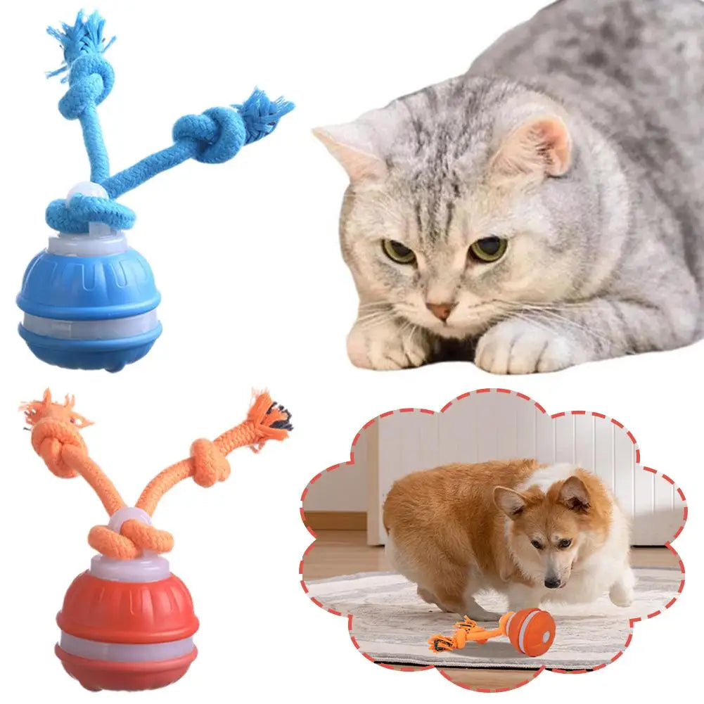 Pet Ball for Dogs Interactive Toys Motion Activate Rolling Ball for