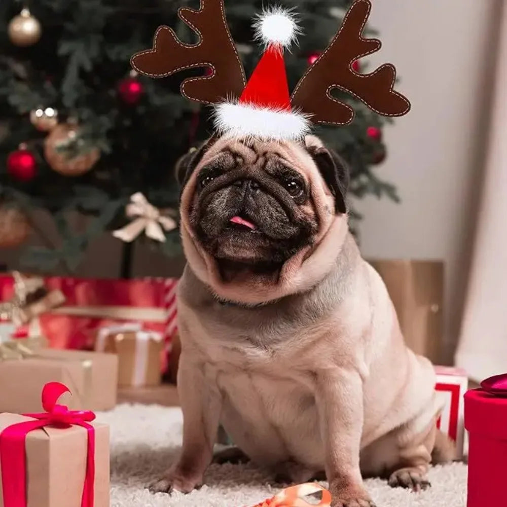 Christmas Decoration Pet Headwear Party Dress Up Antlers Hair Hoops