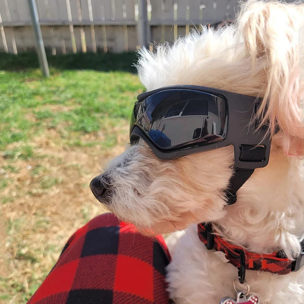 Pet Accessories Dog Outdoor UV Protection Sunglasses Cat Dog Goggles