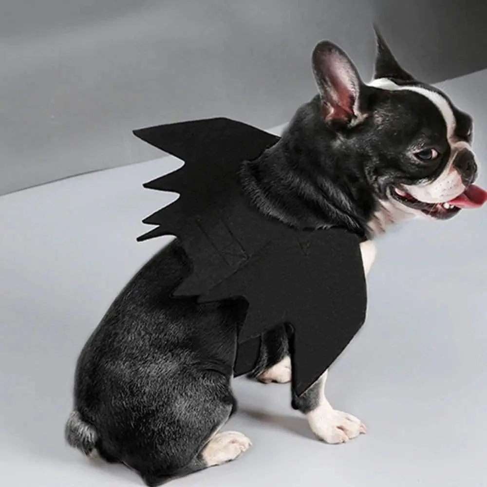 Wholesale Cute Cat Cosplay Costume Black Bat Wings Safety Belt Role