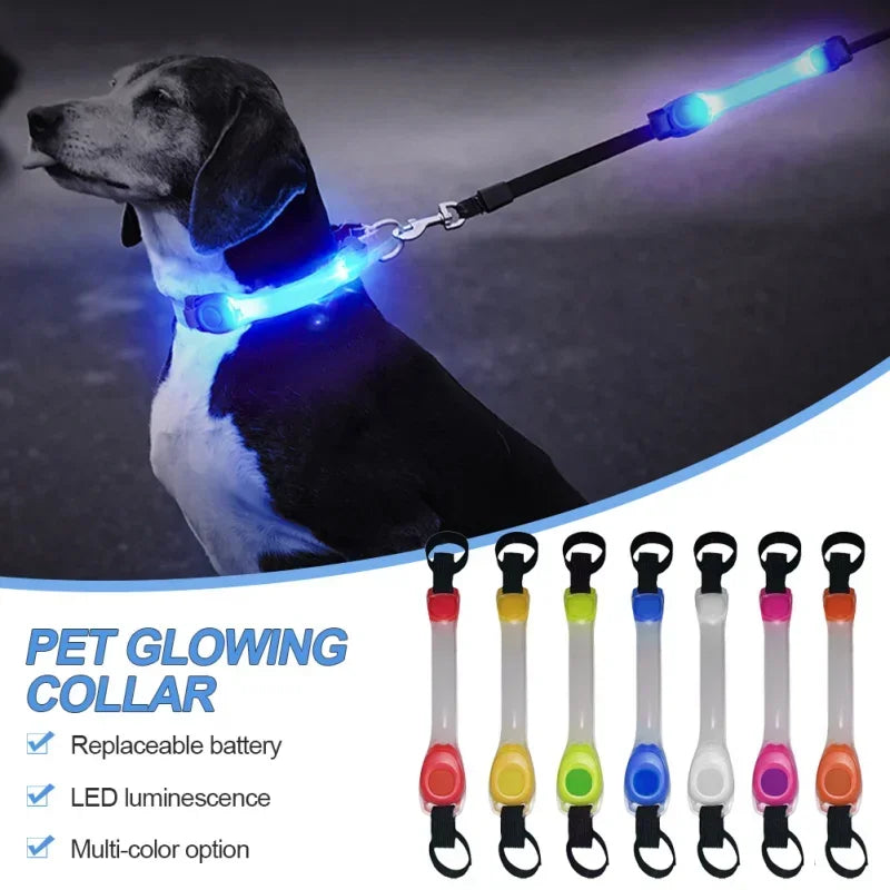 Waterproof Dog Anti-Lost Safety Glowing Collar,Multi-Color Pendants