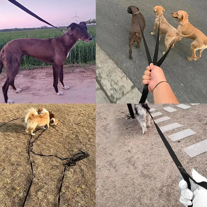 Long Strong Nylon Dog Leash 10m 15m 20m Pet Training Leash For Small