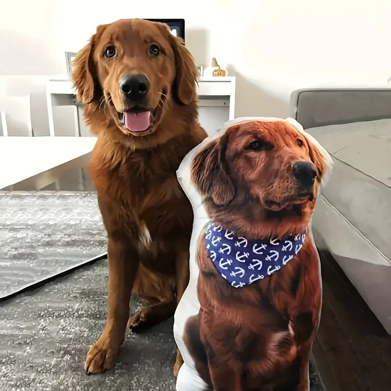 Customized modern pet pillow with double-sided digital printing,